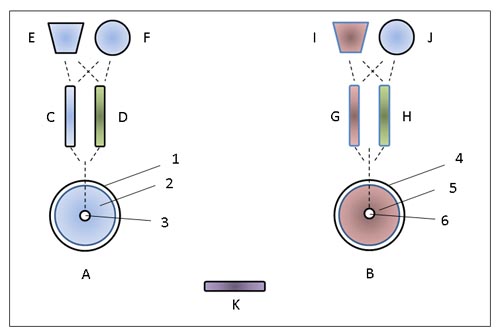 Wireless power architecture
